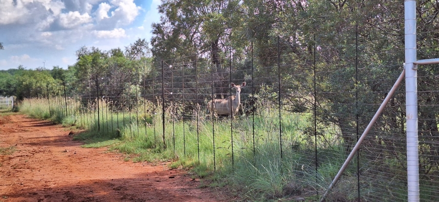 8 Bedroom Property for Sale in Swartruggens North West